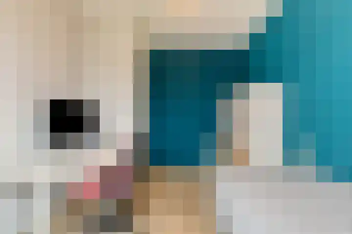 Beukenlaan 9 Emmer-Compascuum thumbnail 32