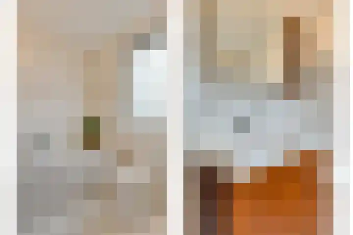 Beukenlaan 9 Emmer-Compascuum thumbnail 36