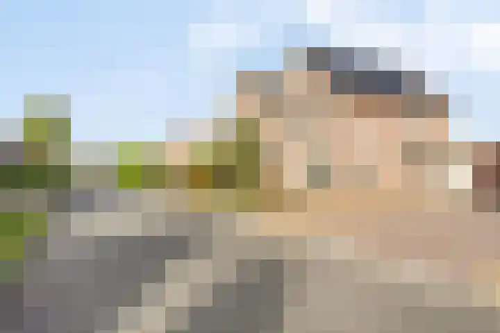 Beukenlaan 9 Emmer-Compascuum thumbnail 40