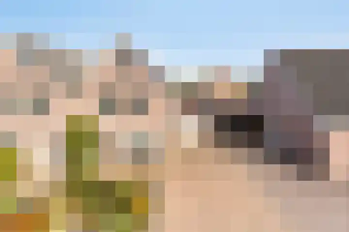 Beukenlaan 9 Emmer-Compascuum thumbnail 41