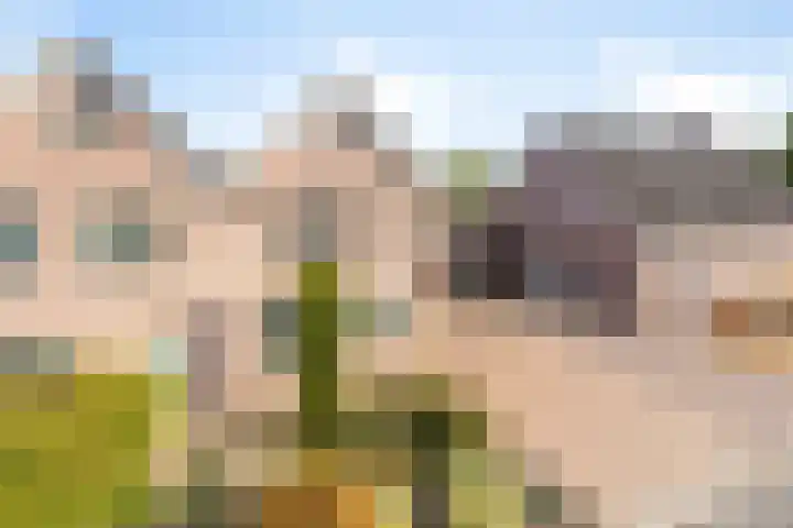 Beukenlaan 9 Emmer-Compascuum thumbnail 42