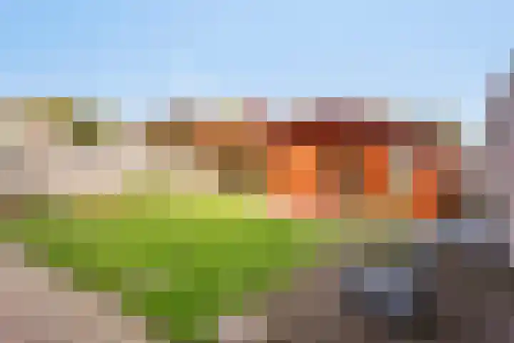 Beukenlaan 9 Emmer-Compascuum thumbnail 44
