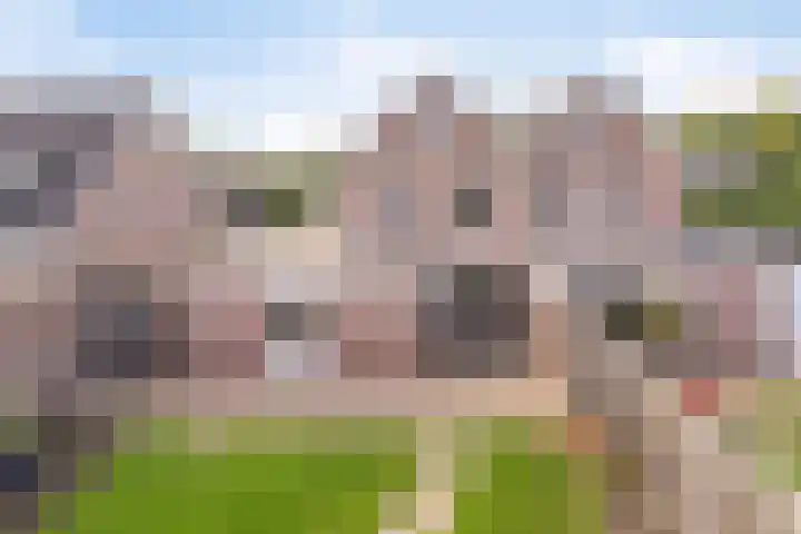Beukenlaan 9 Emmer-Compascuum thumbnail 46