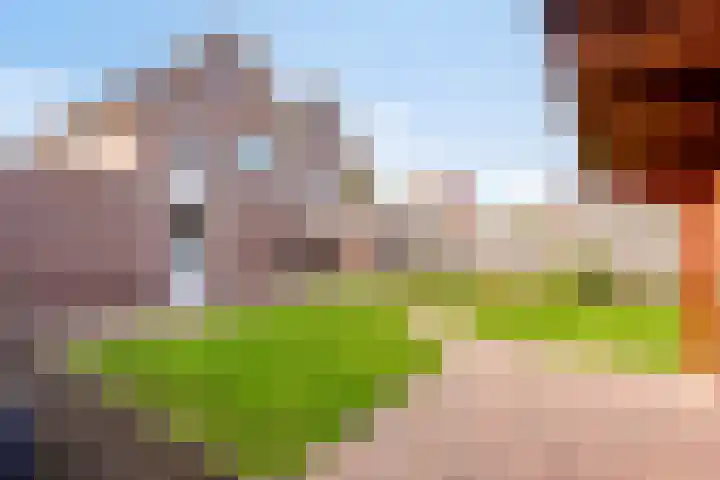 Beukenlaan 9 Emmer-Compascuum thumbnail 5