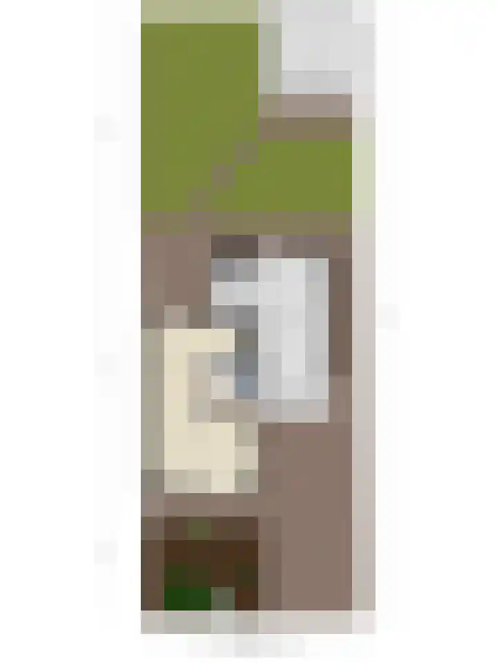 Beukenlaan 9 Emmer-Compascuum thumbnail 50