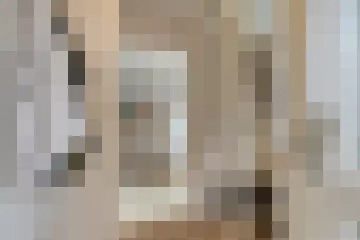 Beukenlaan 9 Emmer-Compascuum thumbnail 7