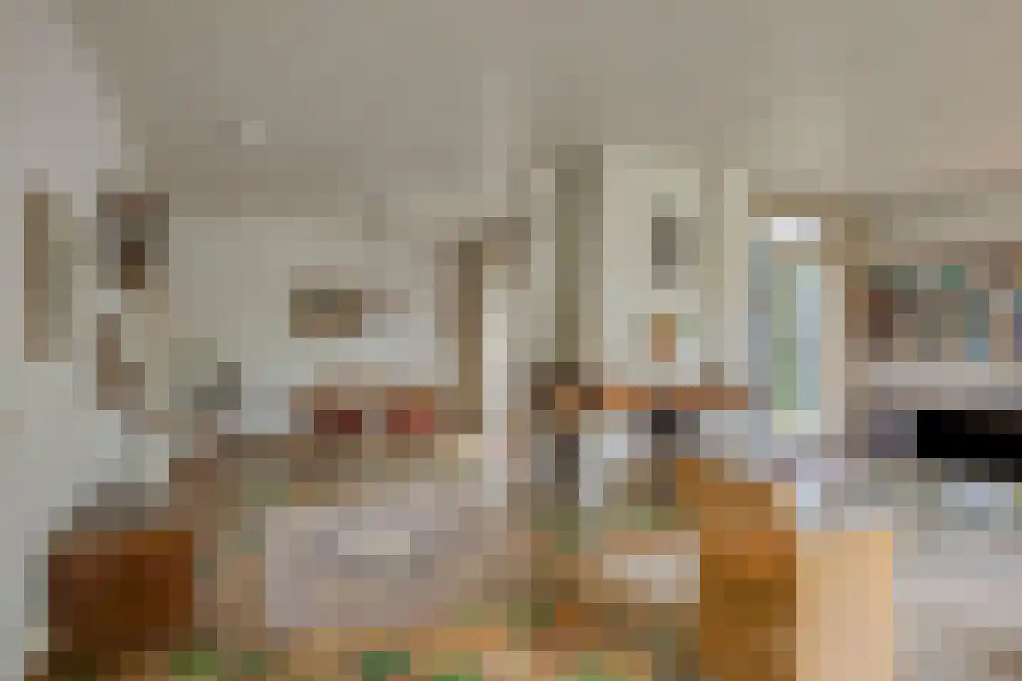 Beukenlaan 9 Heesch thumbnail 10