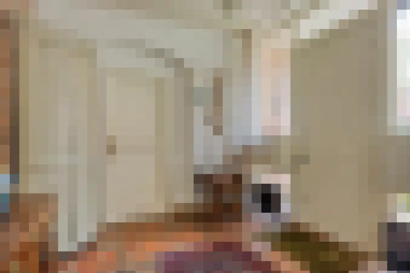 Beukenlaan 9 Heesch thumbnail 15