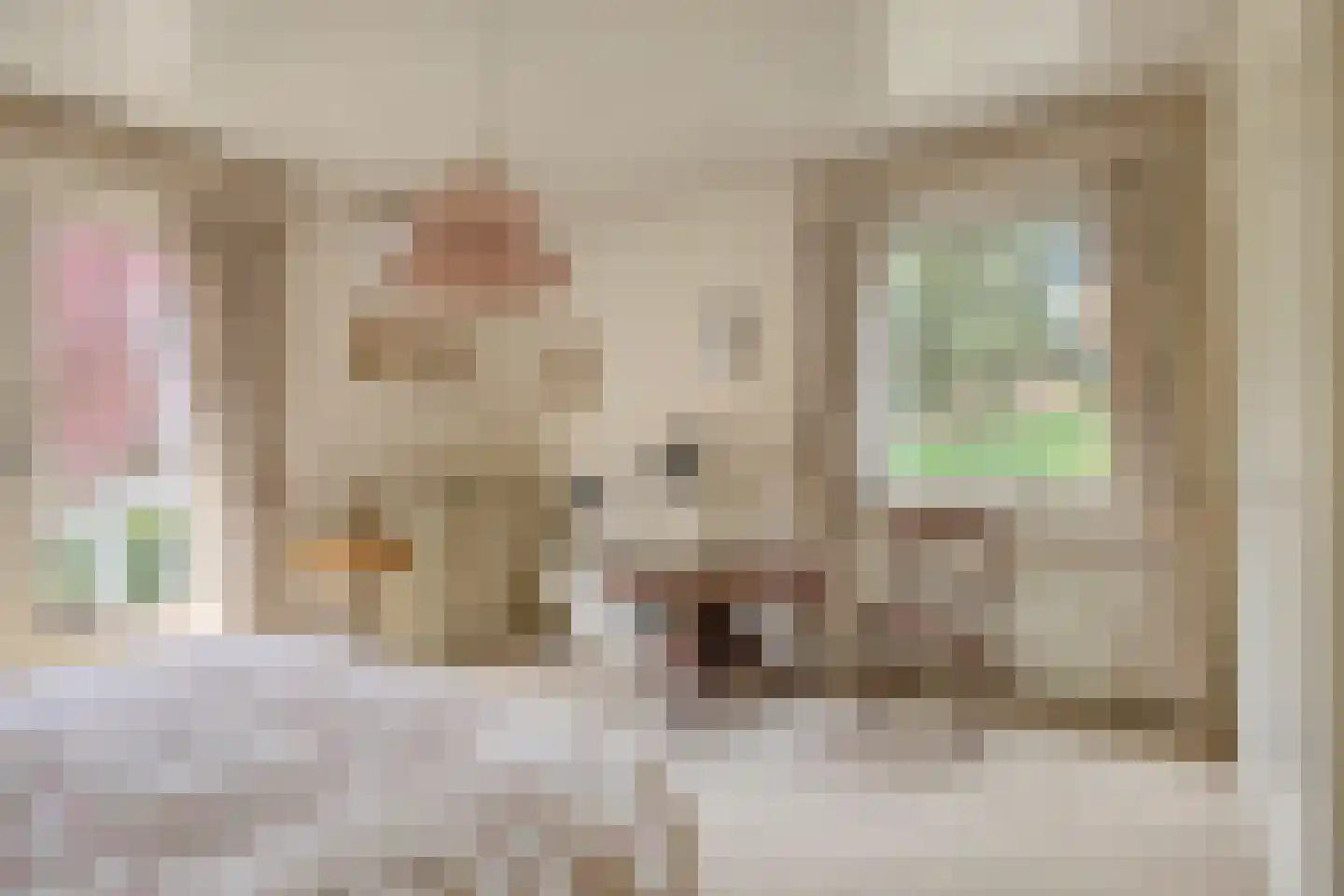Beukenlaan 9 Heesch thumbnail 19