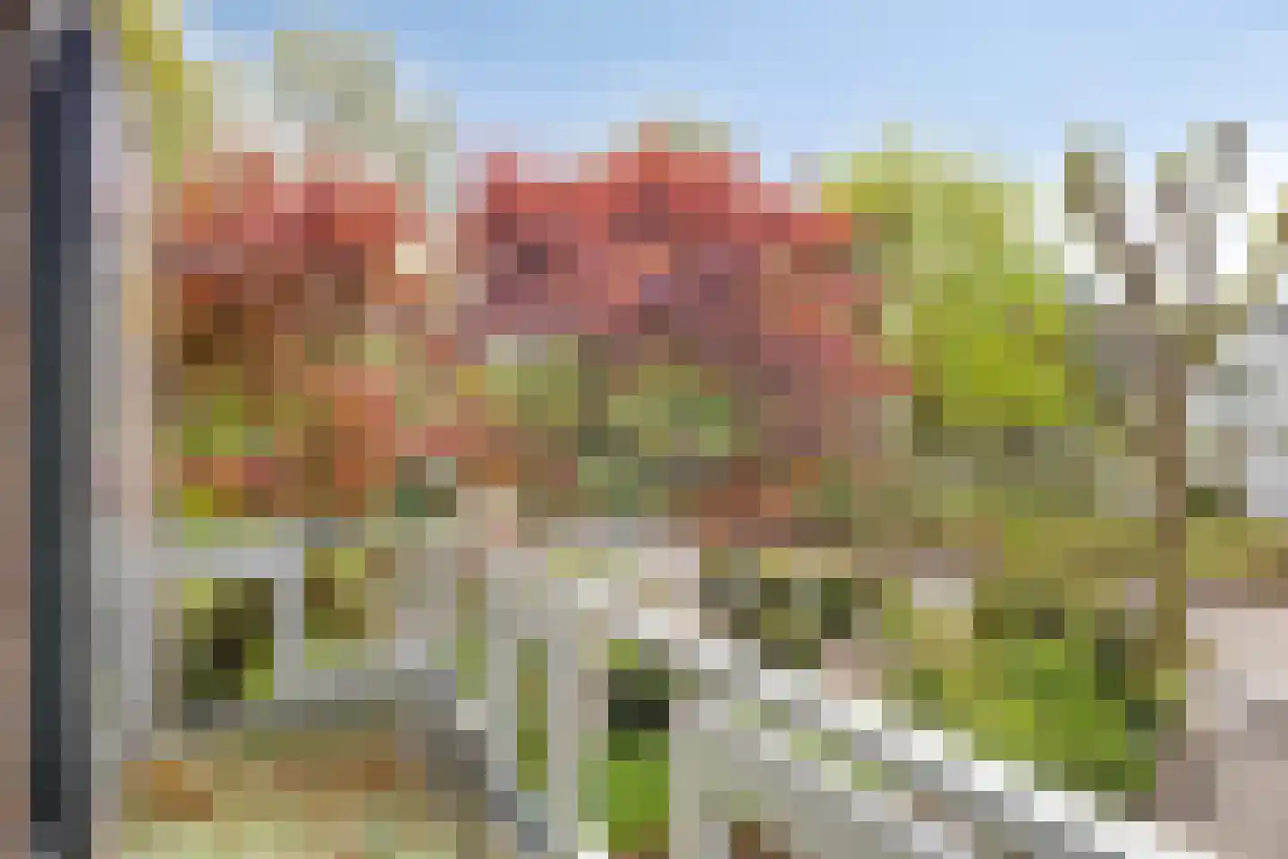 Beukenlaan 9 Heesch thumbnail 21