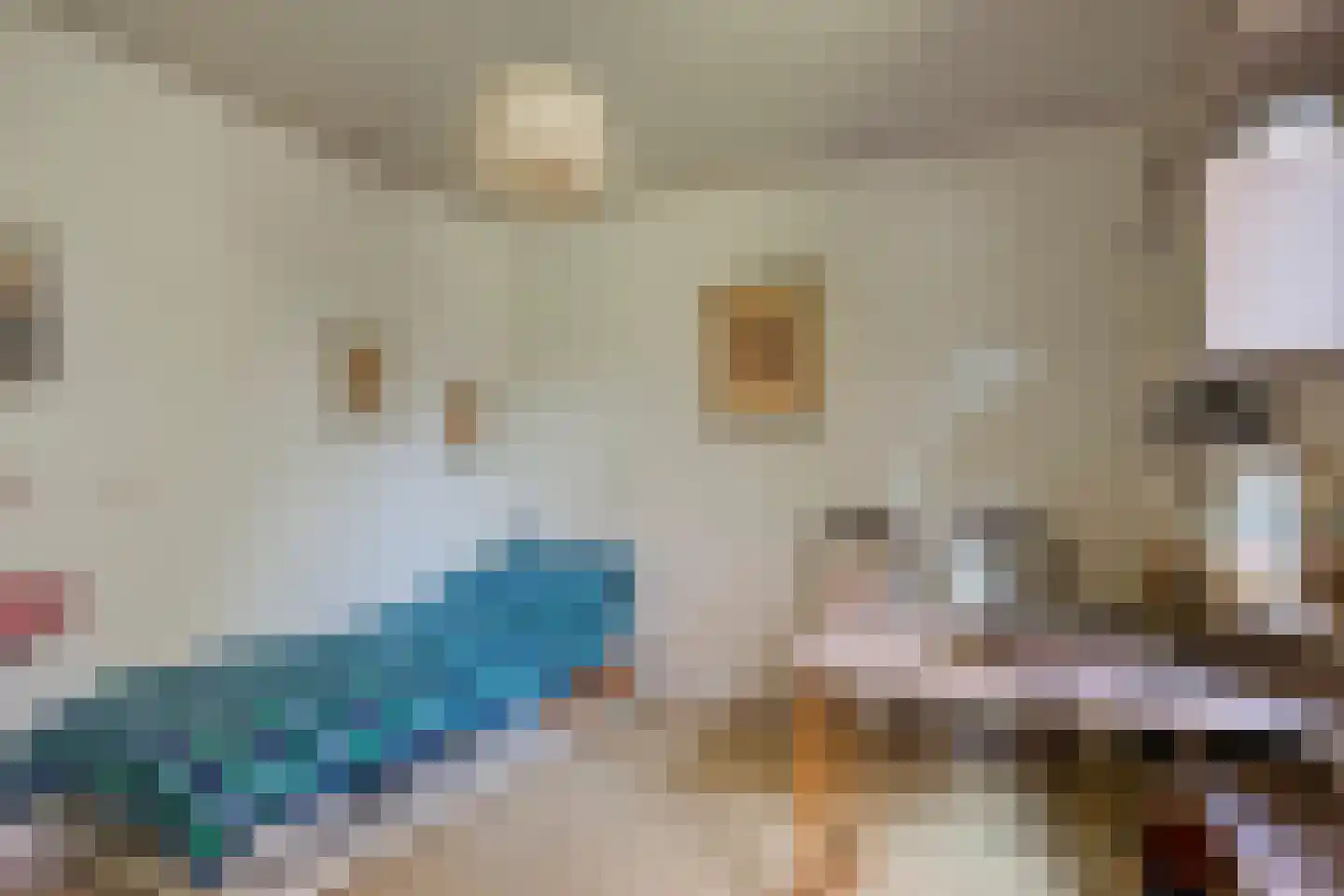 Beukenlaan 9 Heesch thumbnail 22