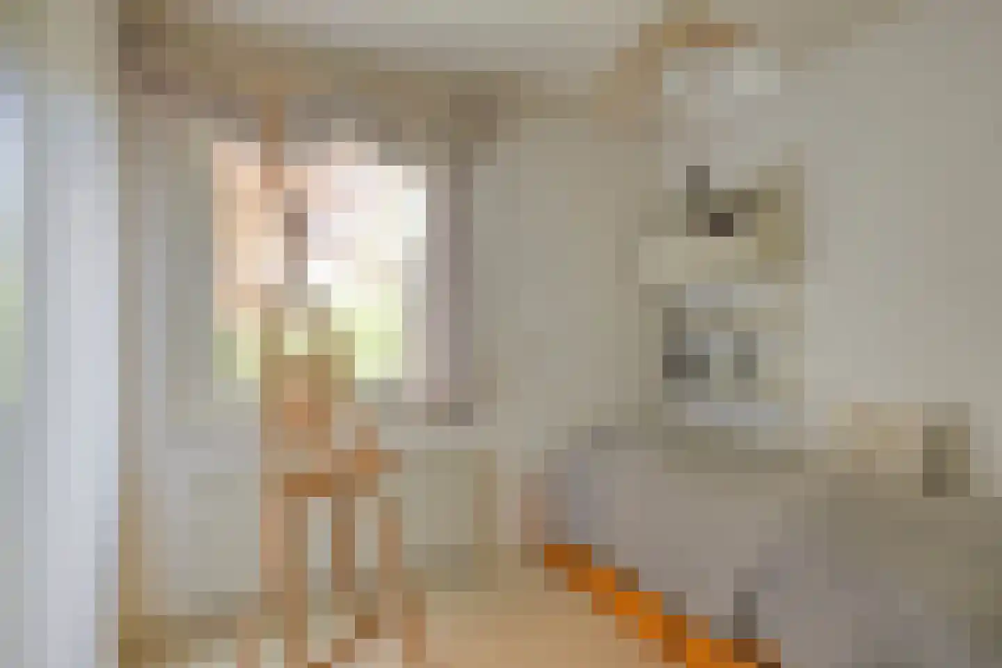 Beukenlaan 9 Heesch thumbnail 26