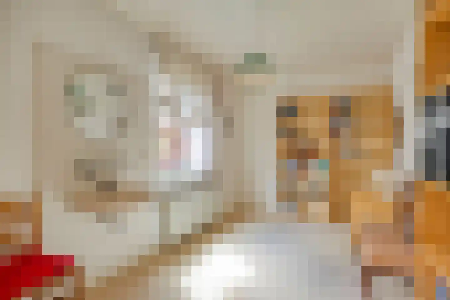 Beukenlaan 9 Heesch thumbnail 27