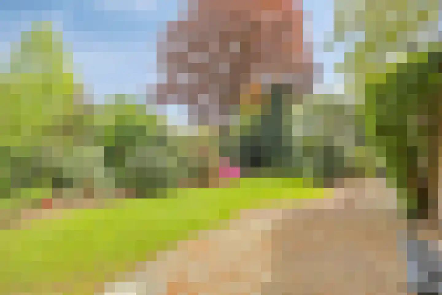 Beukenlaan 9 Heesch thumbnail 36