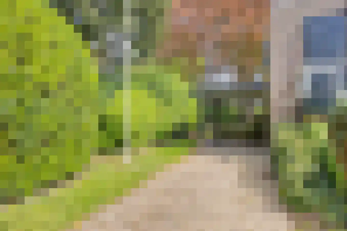 Beukenlaan 9 Heesch thumbnail 39