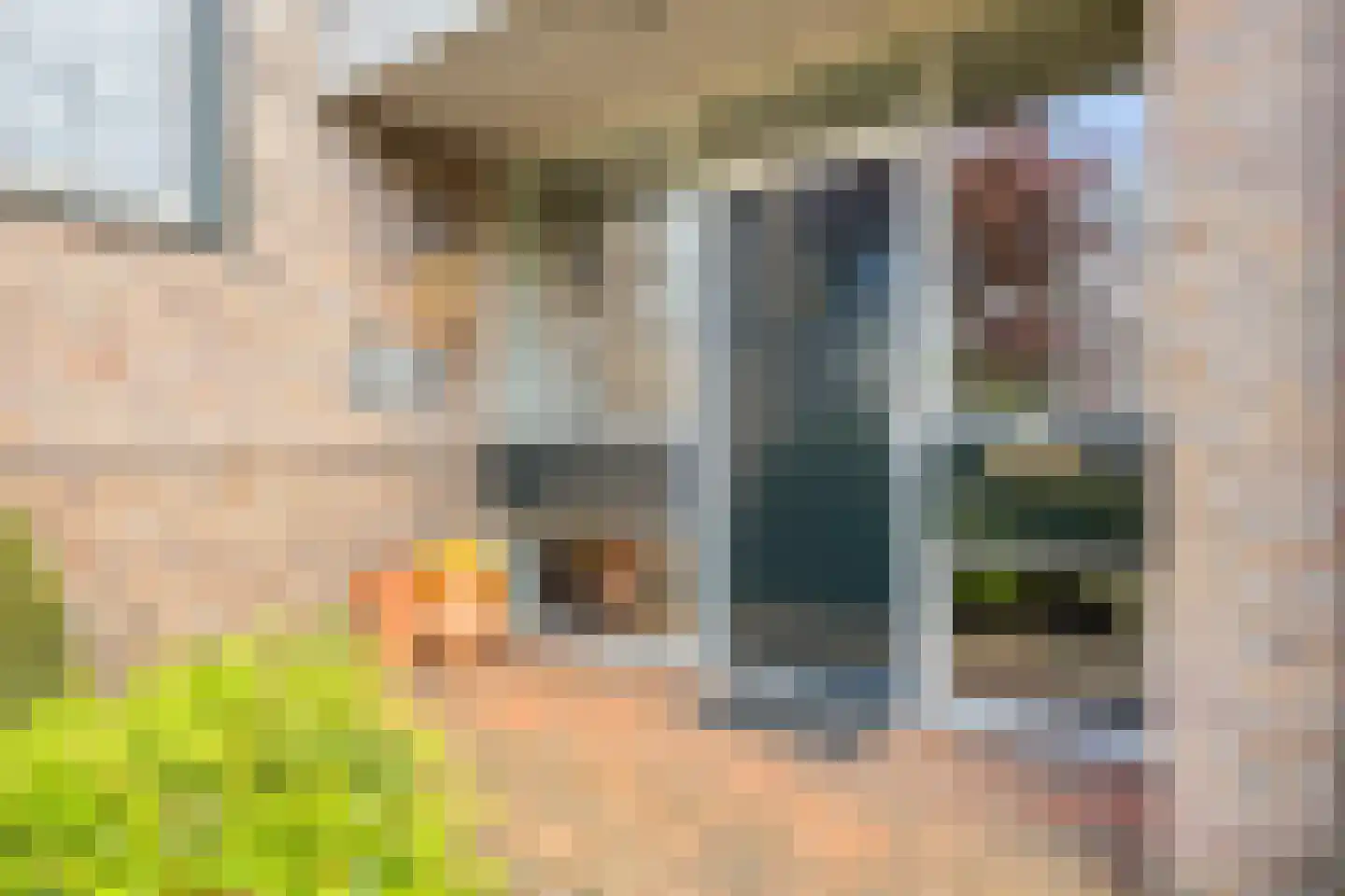 Beukenlaan 9 Heesch thumbnail 40