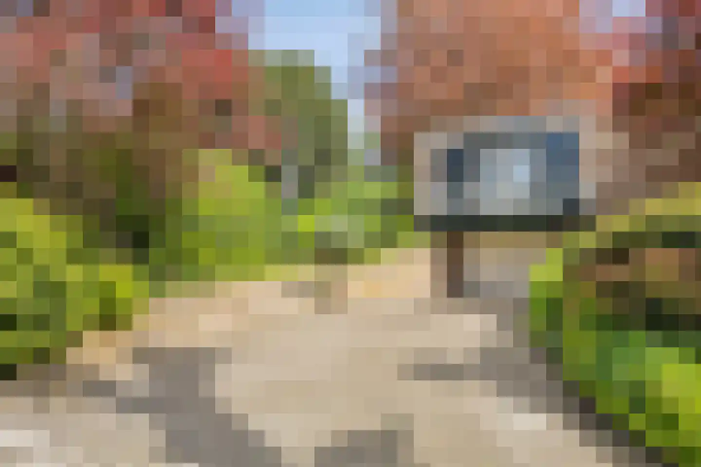 Beukenlaan 9 Heesch thumbnail 41