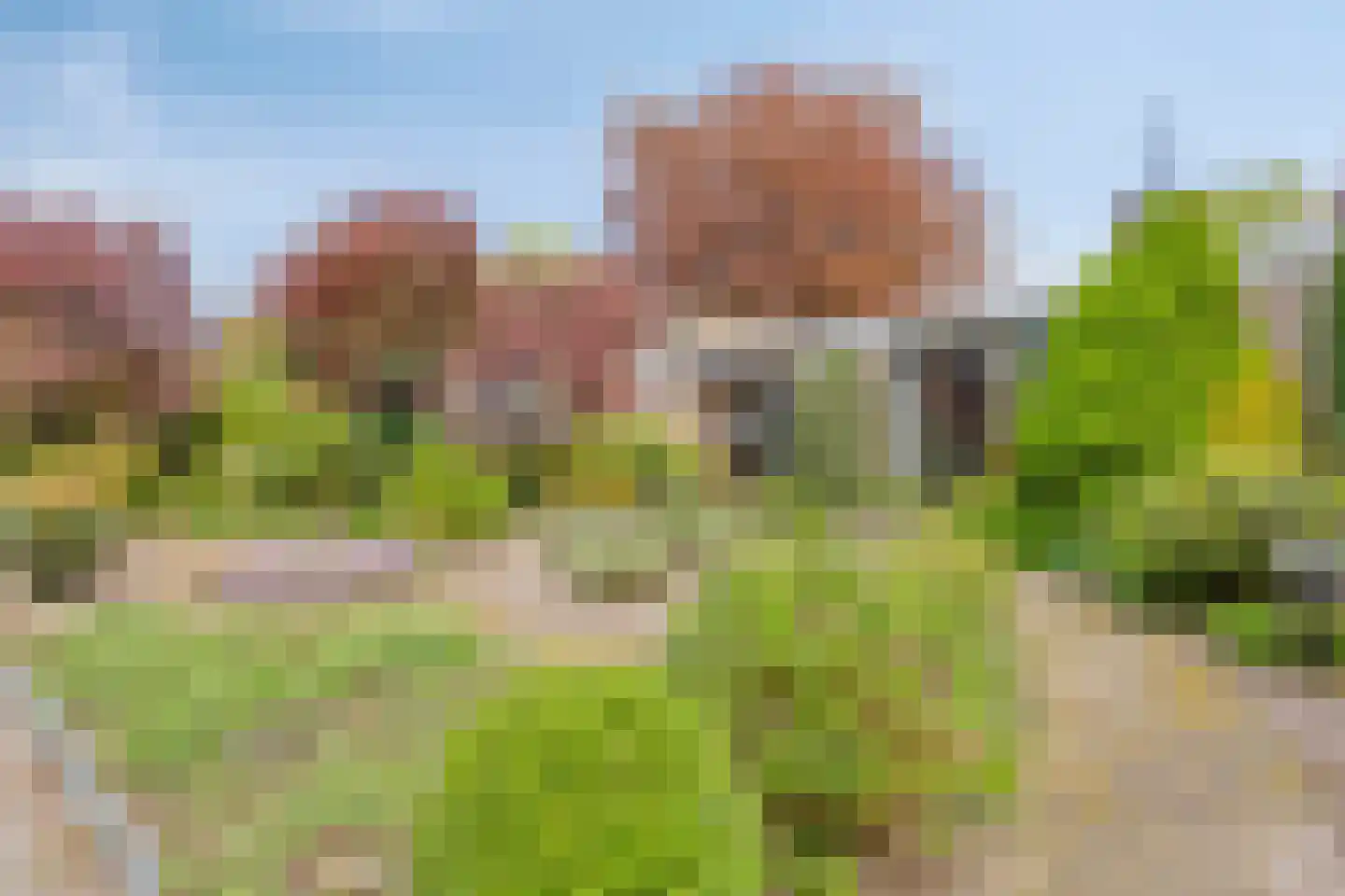 Beukenlaan 9 Heesch thumbnail 45