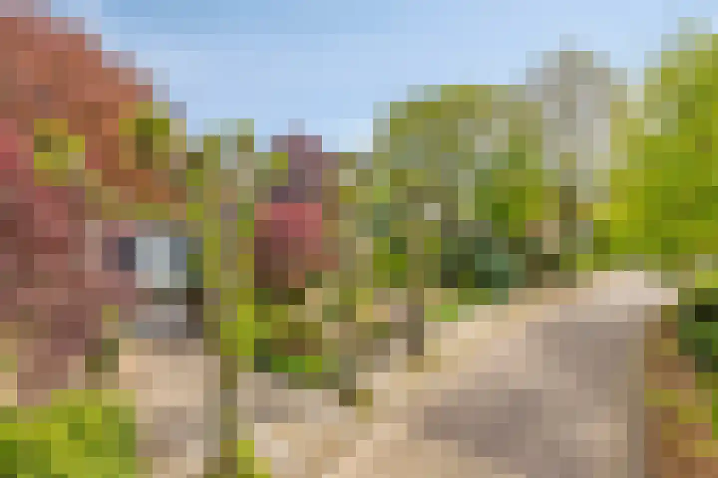 Beukenlaan 9 Heesch thumbnail 46