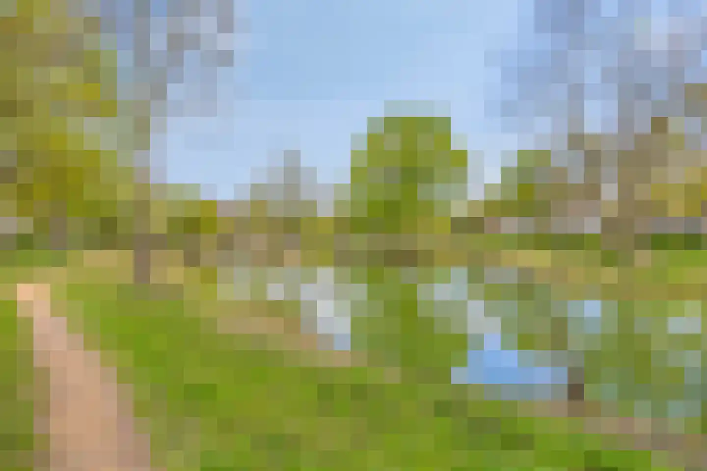 Beukenlaan 9 Heesch thumbnail 47