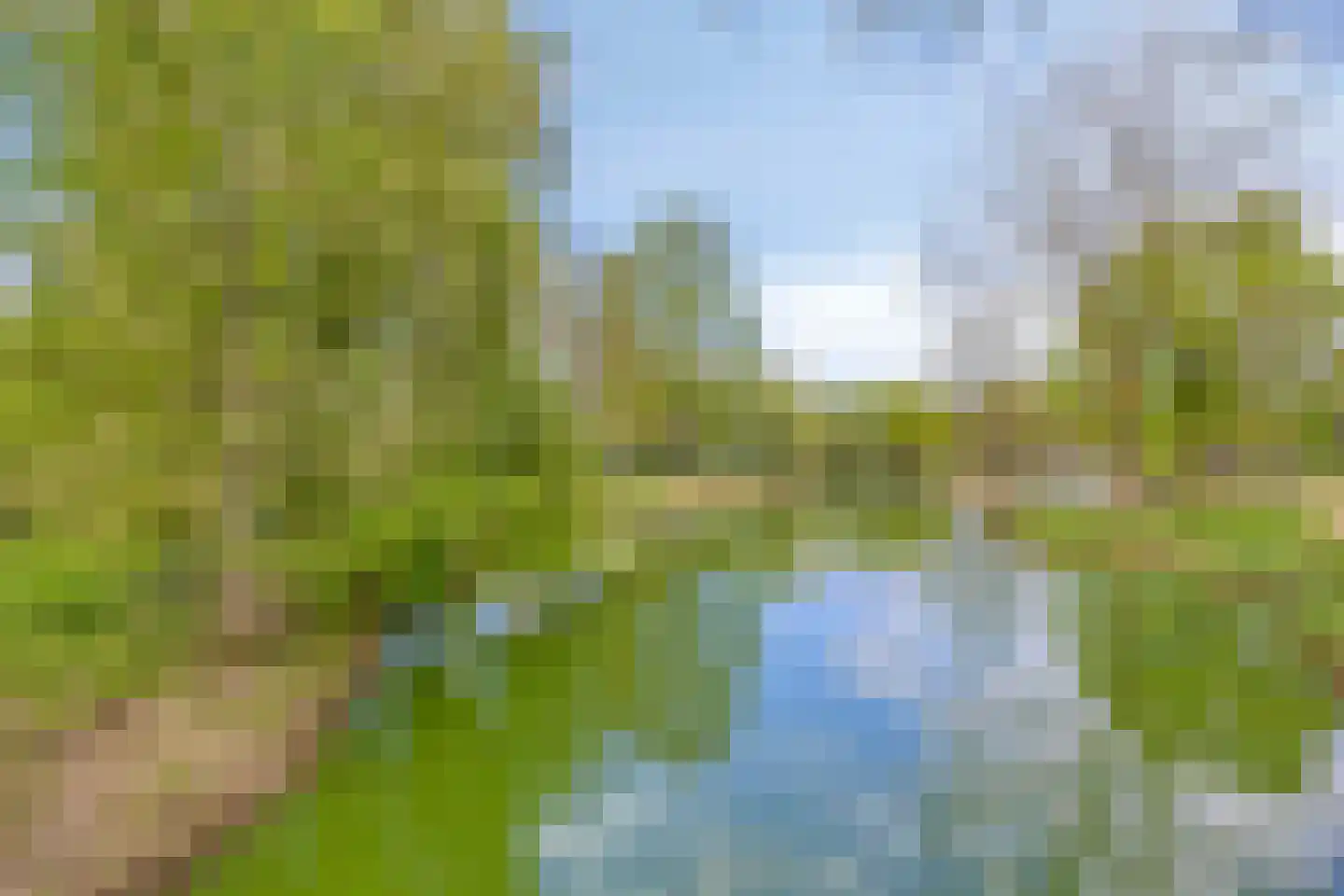 Beukenlaan 9 Heesch thumbnail 48