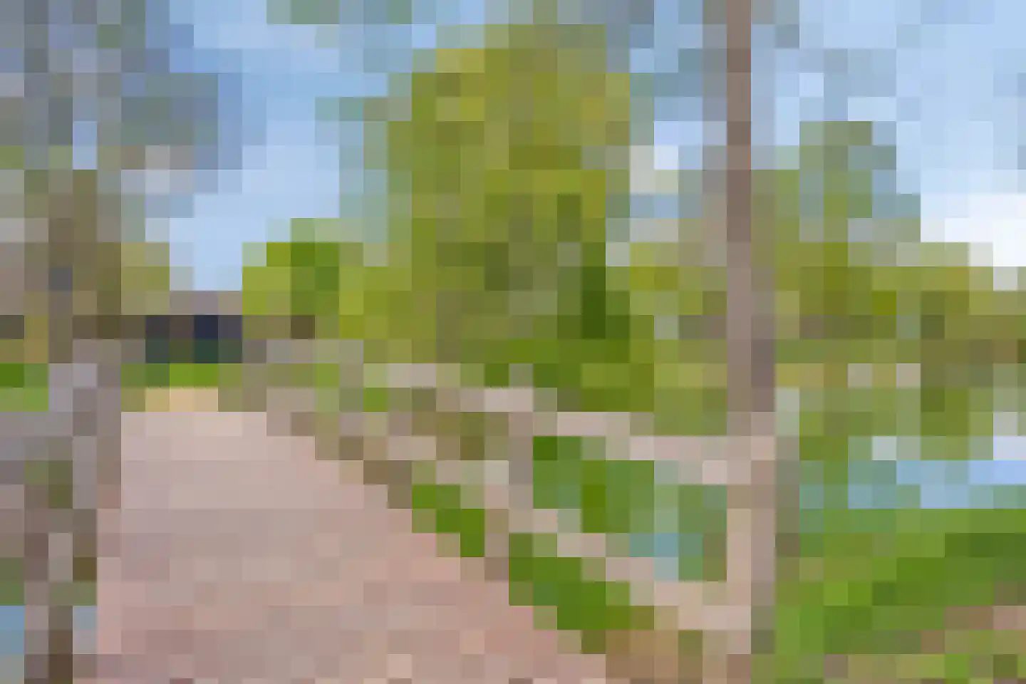 Beukenlaan 9 Heesch thumbnail 49