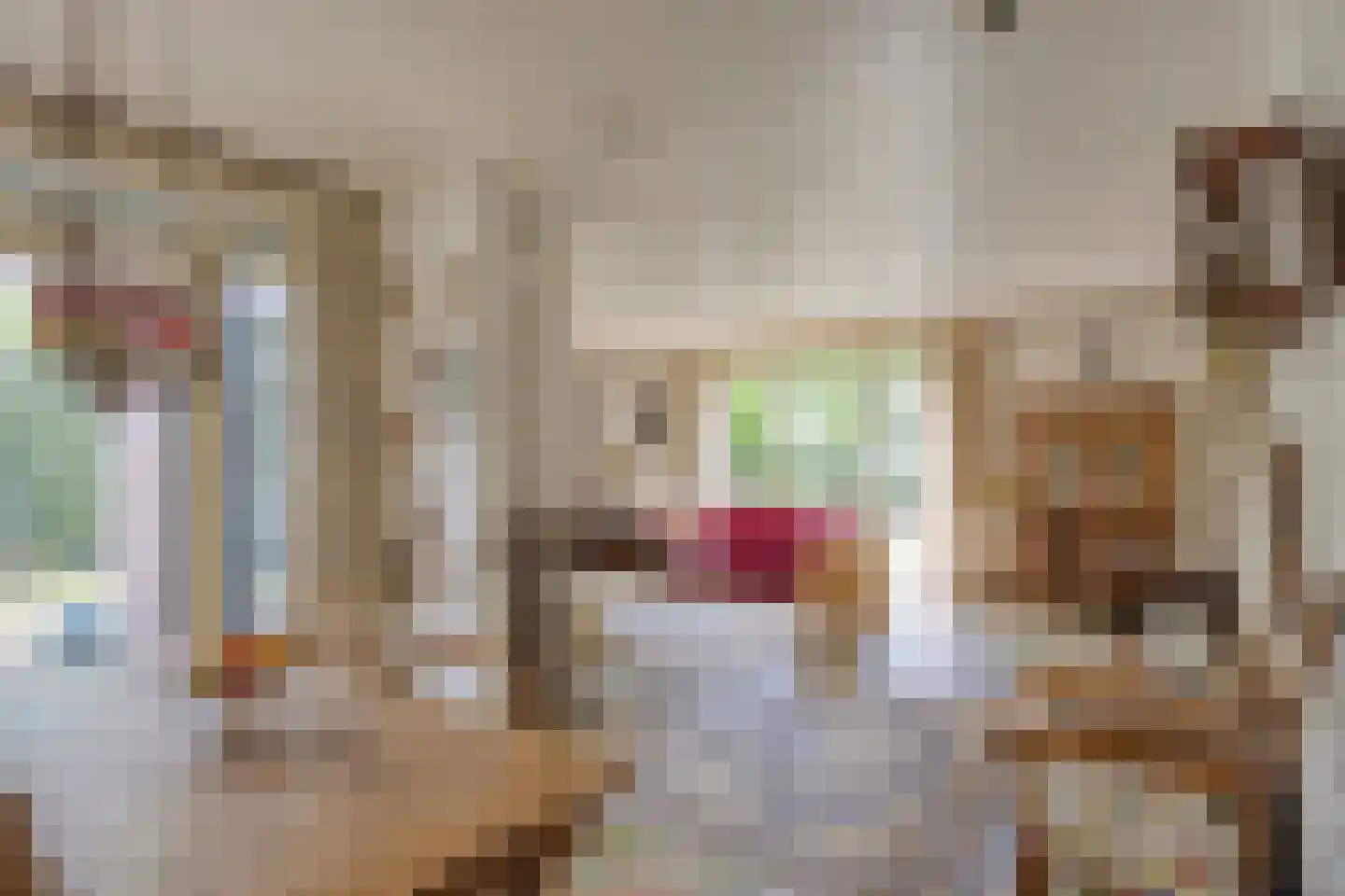 Beukenlaan 9 Heesch thumbnail 7