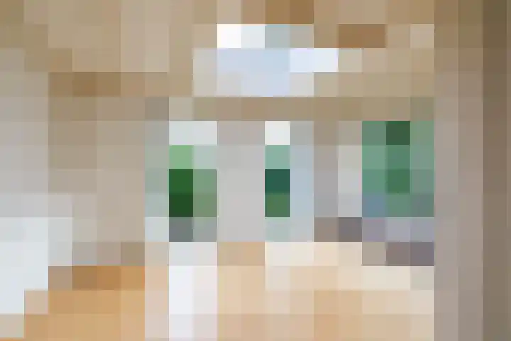 Beukenlaan 9 Peize thumbnail 17