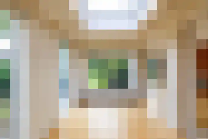 Beukenlaan 9 Peize thumbnail 18