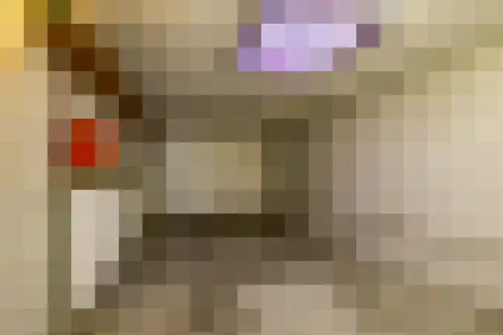 Beukenlaan 9 Peize thumbnail 23