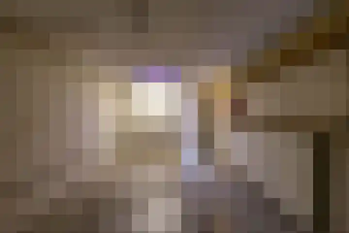 Beukenlaan 9 Peize thumbnail 24