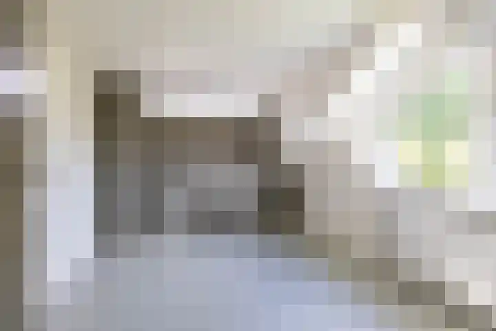 Beukenlaan 9 Peize thumbnail 26