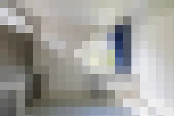 Beukenlaan 9 Peize thumbnail 27