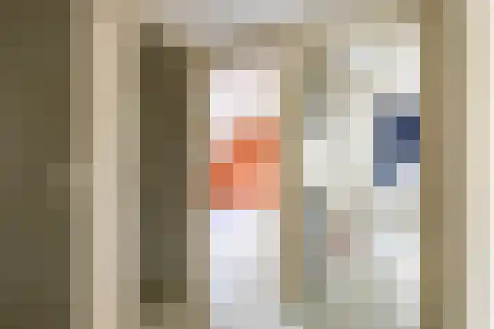 Beukenlaan 9 Peize thumbnail 28