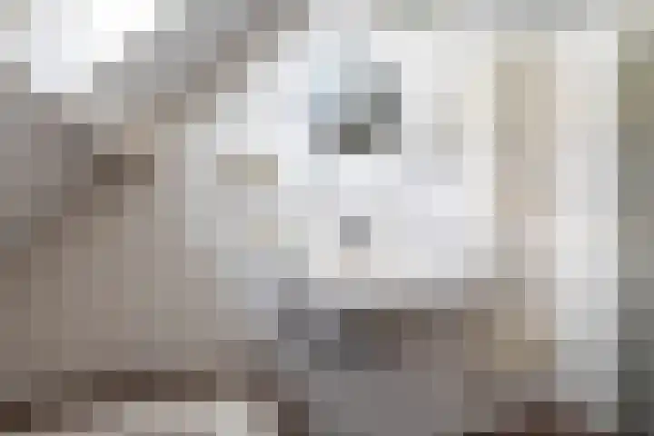 Beukenlaan 9 Peize thumbnail 35