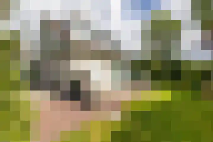 Beukenlaan 9 Peize thumbnail 37