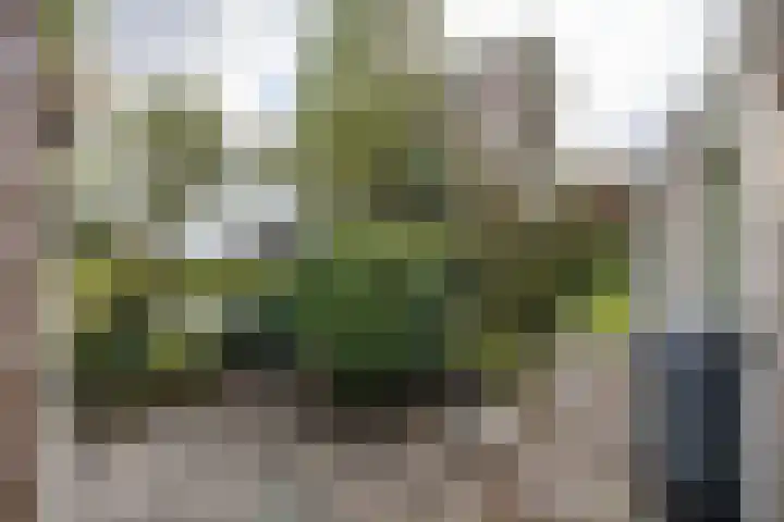 Beukenlaan 9 Peize thumbnail 38