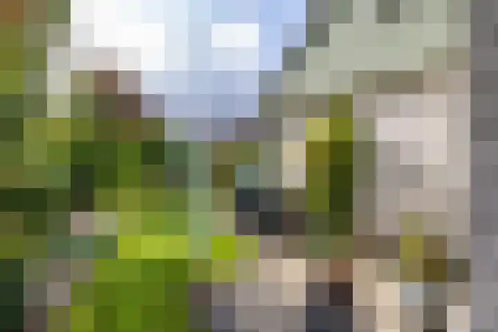 Beukenlaan 9 Peize thumbnail 39