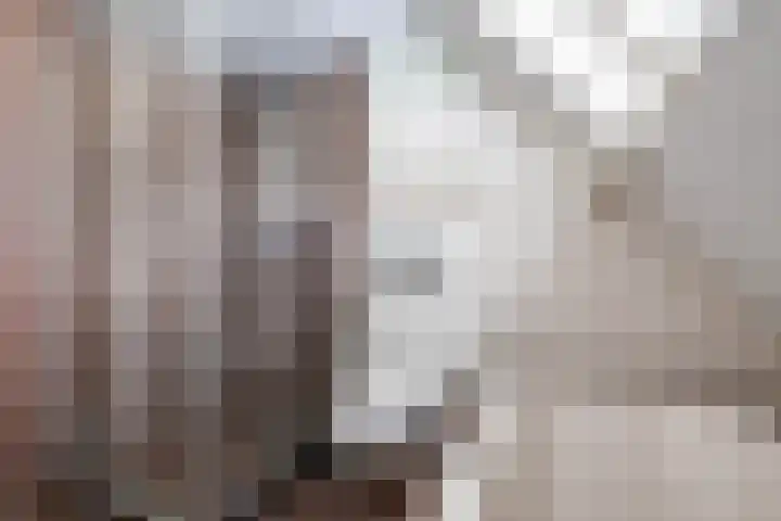 Beukenlaan 9 Peize thumbnail 4