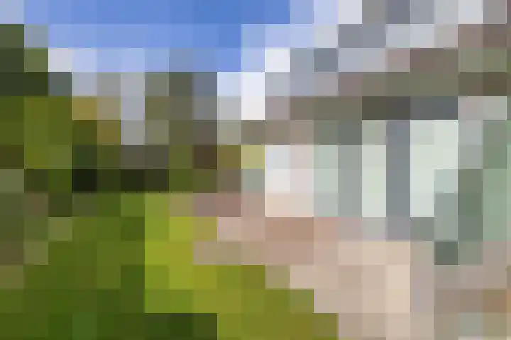 Beukenlaan 9 Peize thumbnail 40