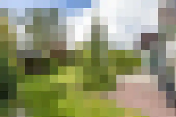 Beukenlaan 9 Peize thumbnail 41