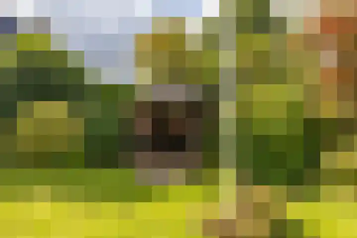 Beukenlaan 9 Peize thumbnail 42