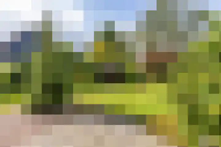 Beukenlaan 9 Peize thumbnail 43