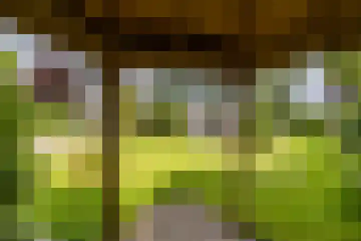 Beukenlaan 9 Peize thumbnail 44