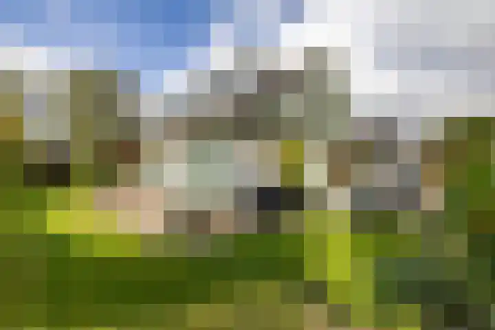 Beukenlaan 9 Peize thumbnail 45