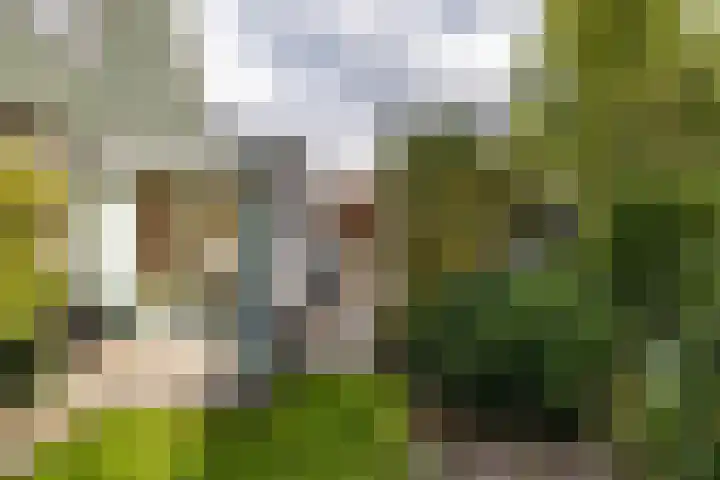 Beukenlaan 9 Peize thumbnail 46