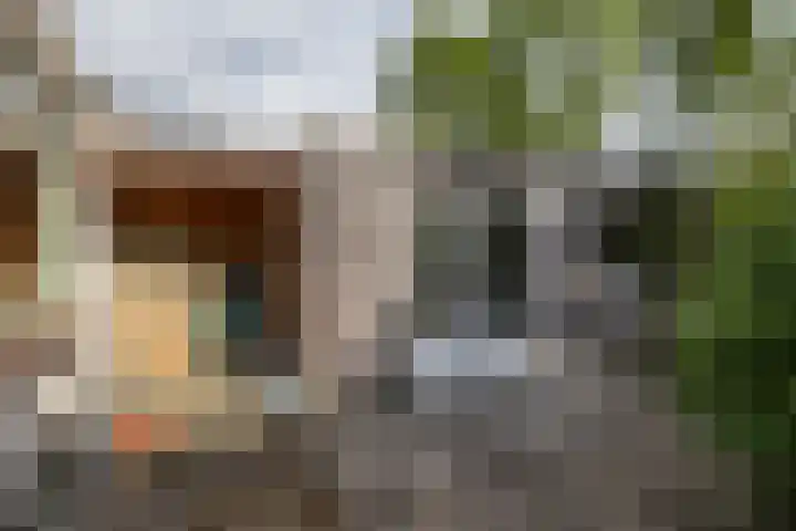 Beukenlaan 9 Peize thumbnail 47