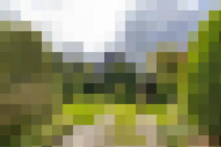 Beukenlaan 9 Peize thumbnail 6