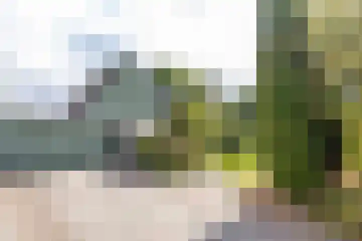 Beukenlaan 9 Peize thumbnail 7
