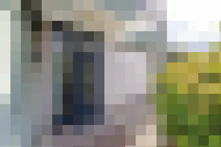 Beukenlaan 9 Peize thumbnail 8
